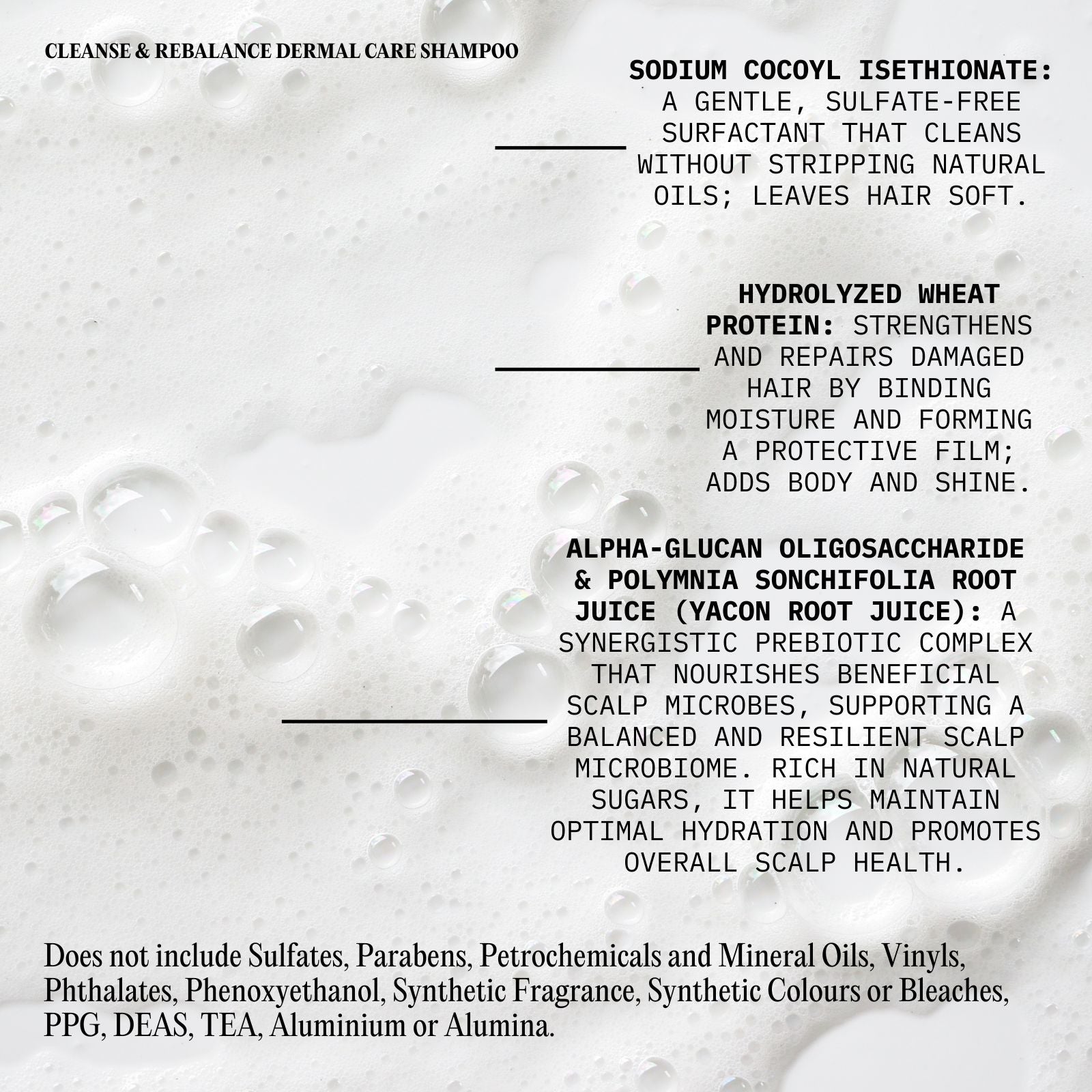 Cleanse & Rebalance Dermal Care Shampoo