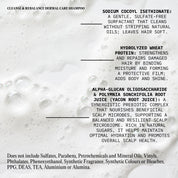 Cleanse & Rebalance Dermal Care Shampoo