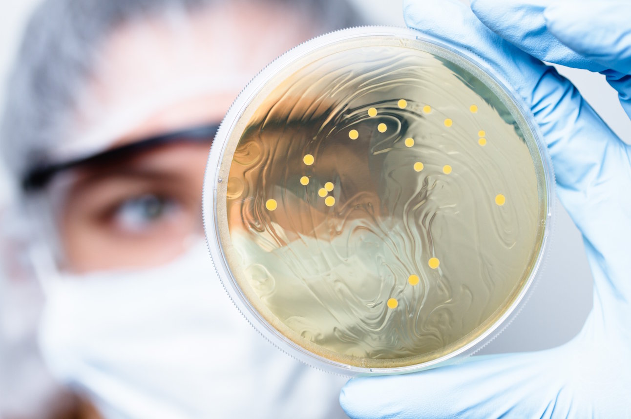 AMPERNA-Probiotic-Scientific.jpg