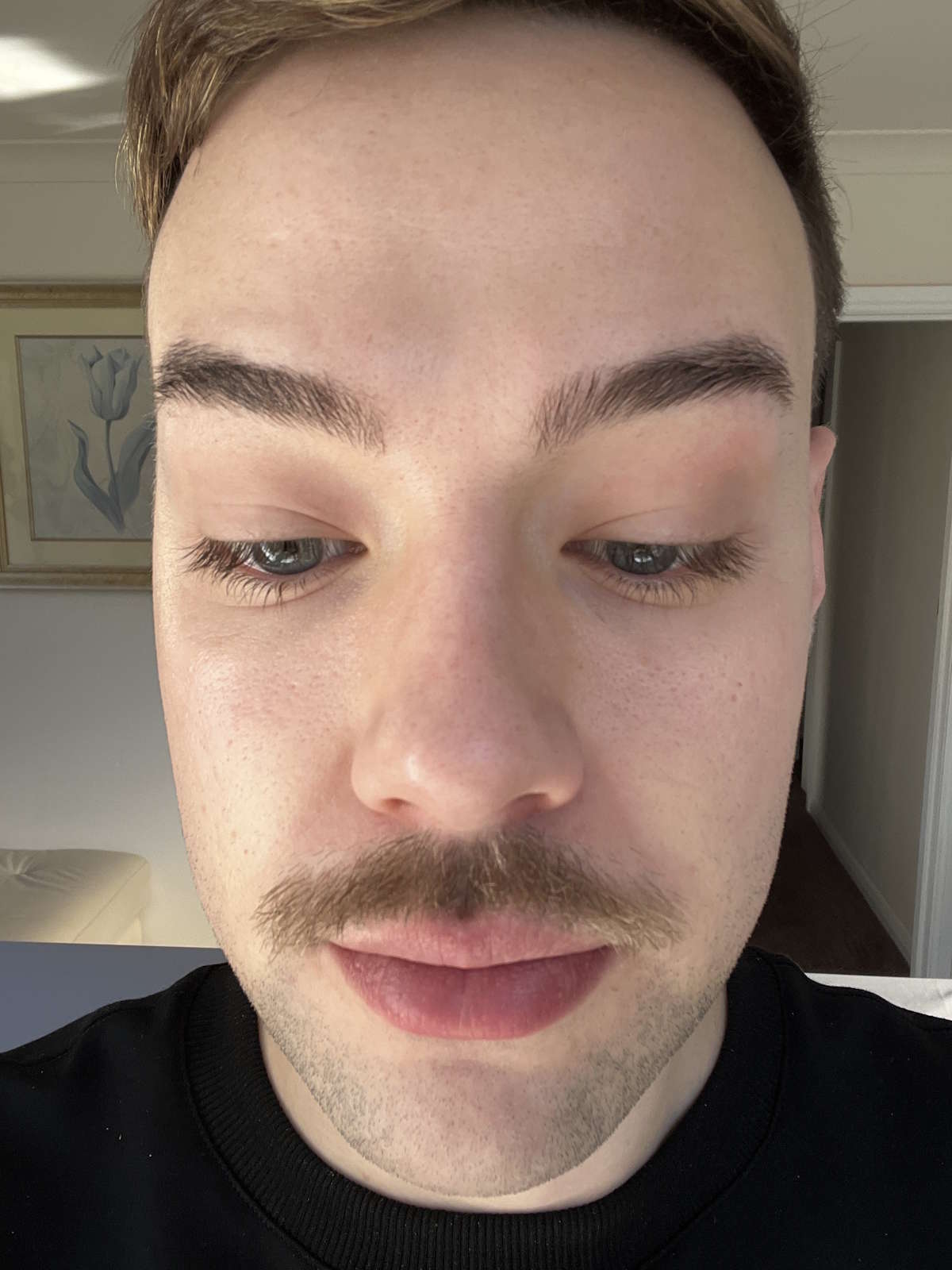 AMPERN-Hayden-After.jpg