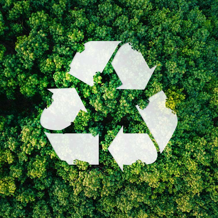 AMPERNA-Sustainability-printpaper.jpg